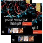 Schmidek and Sweet: Operative Neurosurgical Techniques 2-Volume Set : Indications, Methods and Results