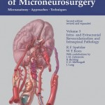 Color Atlas of Microneurosurgery: Microanatomy, Approaches and Techniques, Volume 3: , 2nd Edition