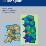 Dynamic Reconstruction of the Spine