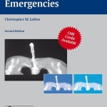 Neurosurgical Emergencies, 2nd Edition