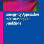 Emergency Approaches to Neurosurgical Conditions: Volume 2