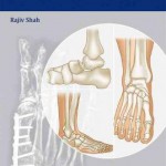 Handbook of Foot and Ankle Orthopedics