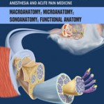 The Anatomical Foundations of Regional Anesthesia and Acute Pain Medicine