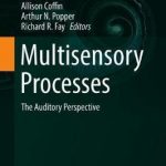 Multisensory Processes : The Auditory Perspective